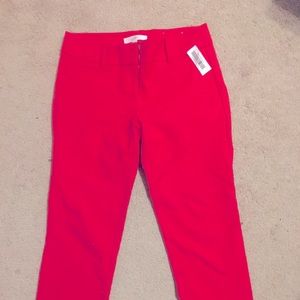Petite neon pink pants